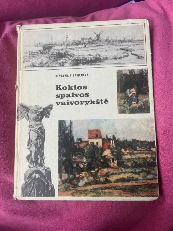 Kokios spalvos vaivorykštė - Jevgenija Kameneva, knyga 2