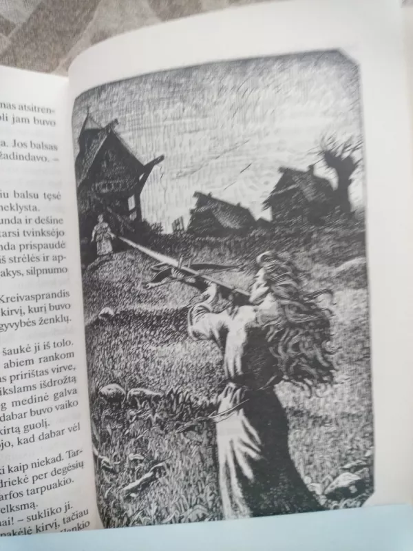 Jundos lemtis - Skomantas, knyga 4