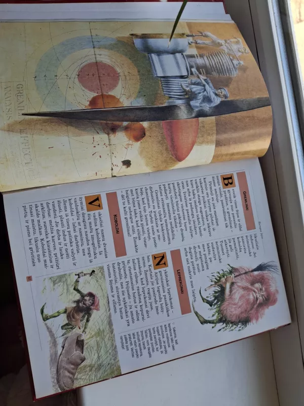 Burtininkai ir pabaisos - Robert Ingpen, Molly  Perham, knyga 5