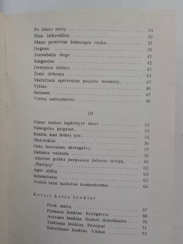 Aikštės - Violeta Palčinskaitė, knyga 5