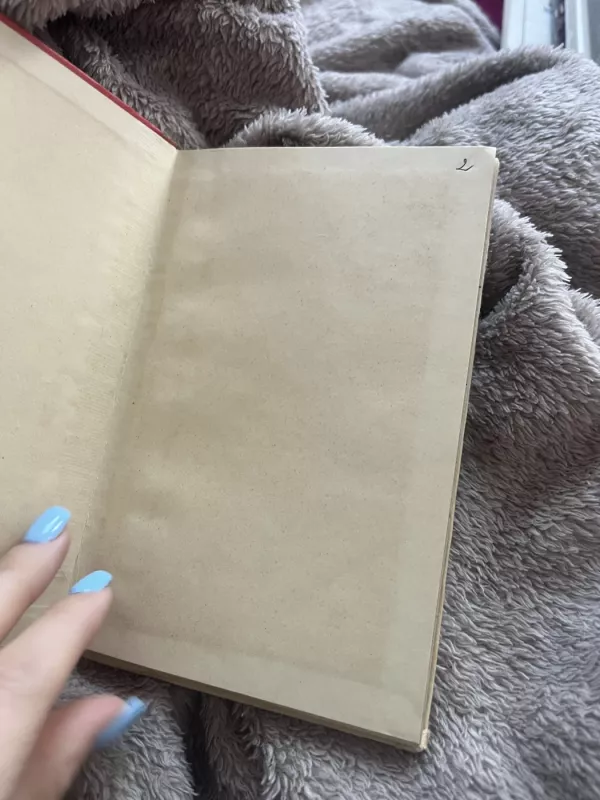 Stiebelis - Chulianas Vanajus, knyga 4