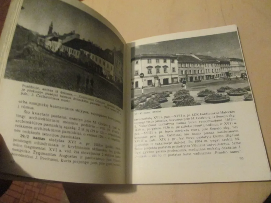 M. Gorkio gatvė Vilniuje - Marija Rupeikienė, knyga 6