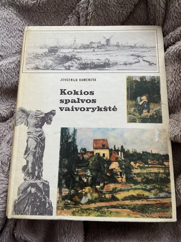 Kokios spalvos vaivorykštė - Jevgenija Kameneva, knyga 2