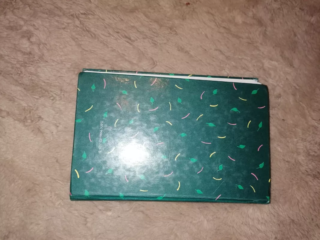 Mūsų visų Madikė - Astrid Lindgren, knyga 4