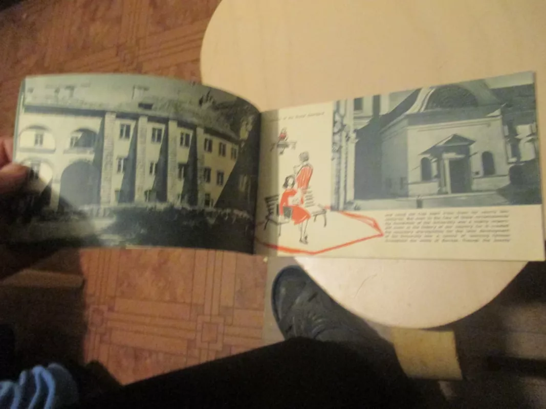 Vilnius V. Kapsukas state university - S. Vaidinauskaitė, knyga 4