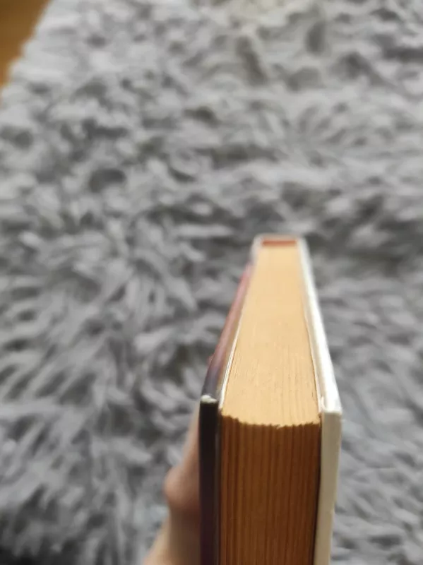 Kvietimas mylėti. 108 priminimai nušvitusiems - Delaflor Ivonne, knyga 3