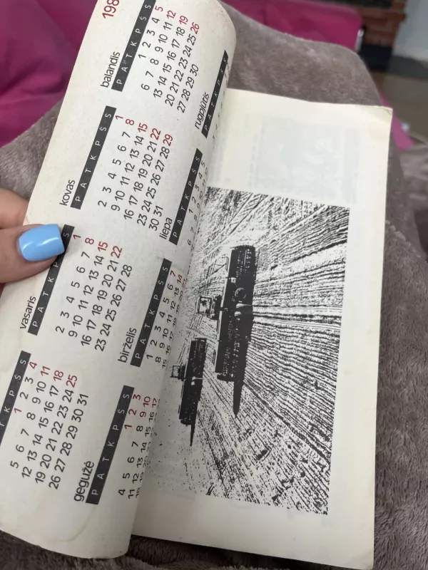 Kaimo metai 1987 - Algimantas Naujokaitis, knyga 4