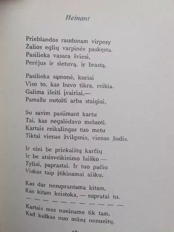 Aikštės - Violeta Palčinskaitė, knyga 6