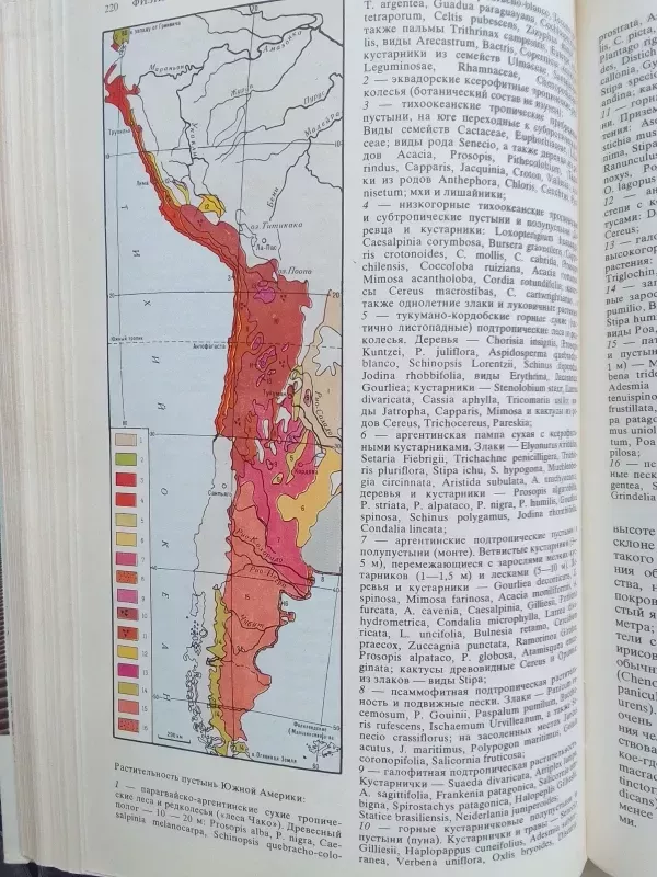 Pasaulio gamta. Dykumos (rusų kalba) - A.G. Babaev ir kt., knyga 6