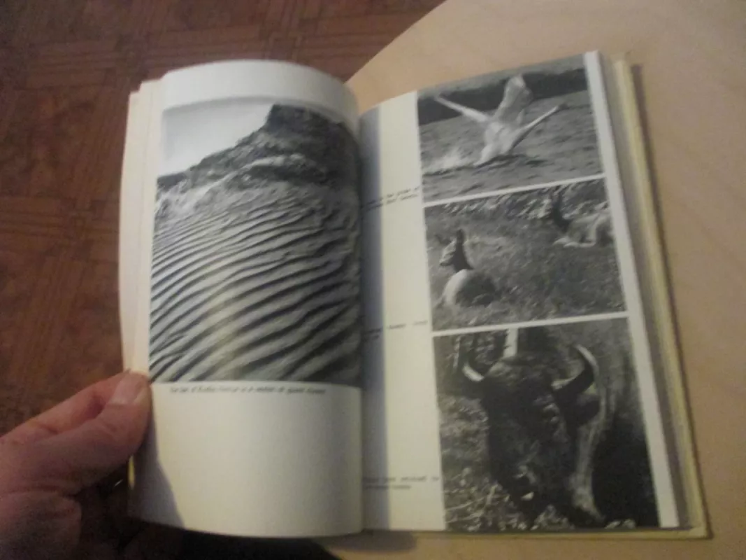 Glimpses of Lithuania - Bronius Akstinas, knyga 6