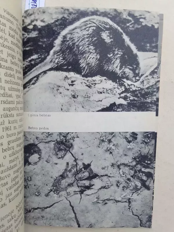 Upinis bebras - A. Palionienė, knyga 6