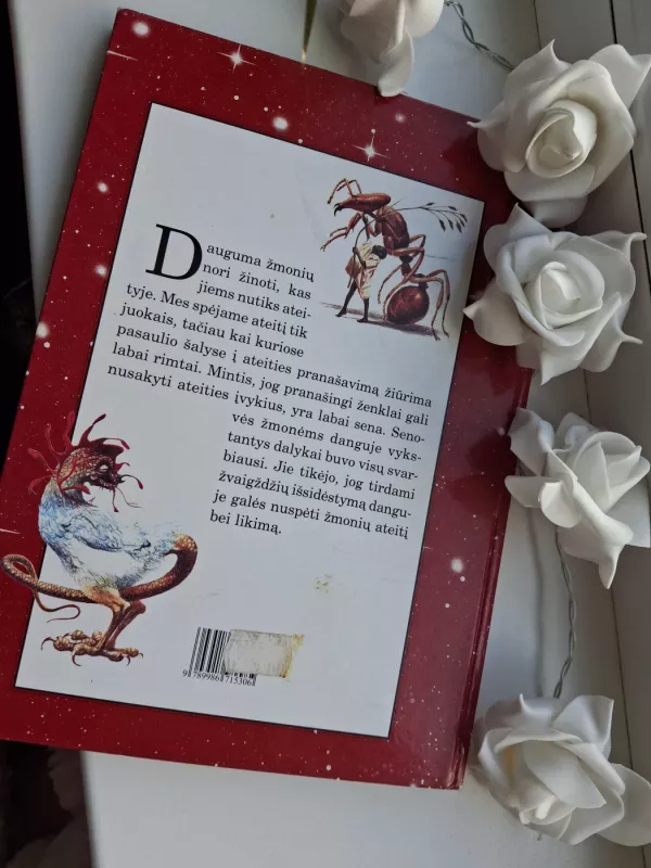 Burtininkai ir pabaisos - Robert Ingpen, Molly  Perham, knyga 6