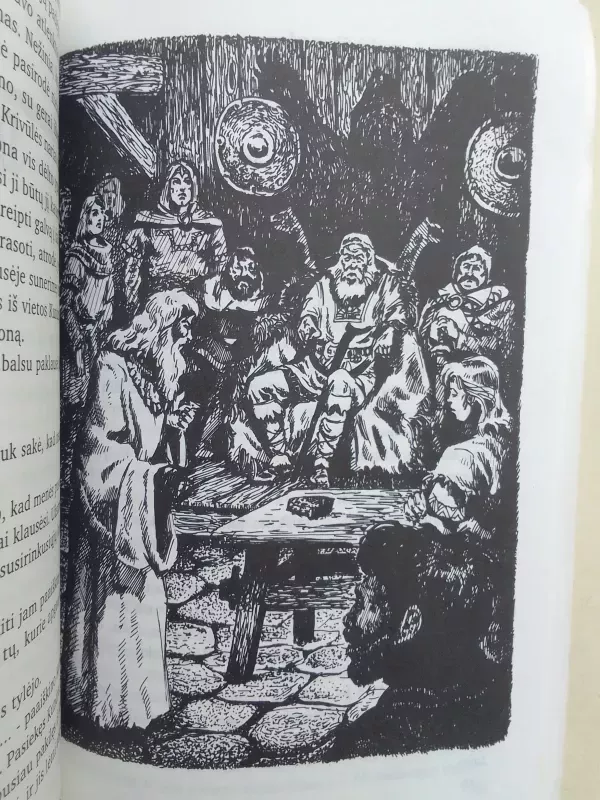 Mėlynojo varno paslaptis - Autorių Kolektyvas, knyga 4