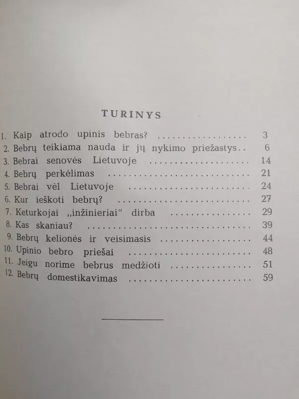 Upinis bebras - A. Palionienė, knyga 4