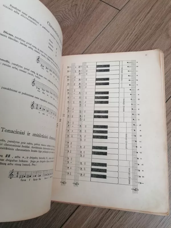 Jaunasis akordeonistas 1952 m. - Povilas Četkauskas, knyga 6