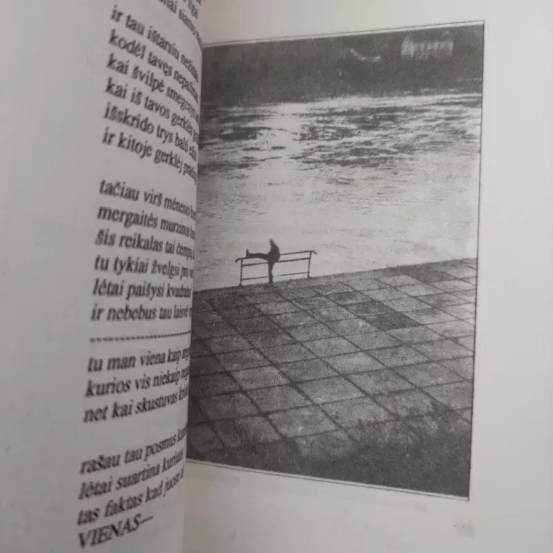 Pasivaikščiojimas be šuns - Gintaras Gutauskas, knyga 4