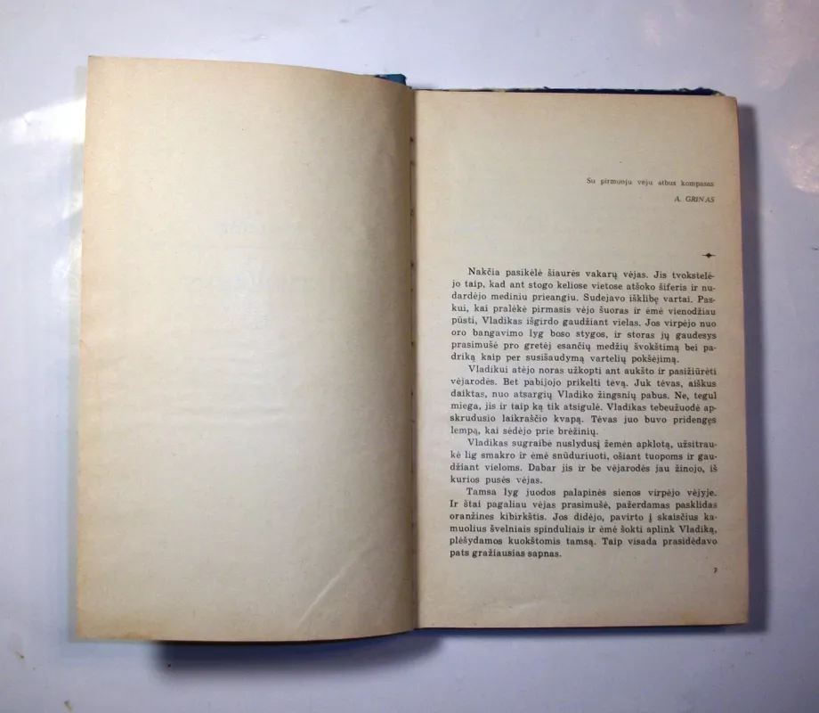 Šalis, kur vėjai pučia - Vladislavas Krapivinas, knyga 6