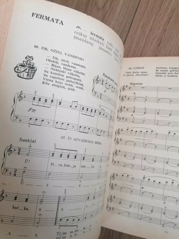 JAUNASIS PIANISTAS - Vida Krakauskaitė, knyga 3