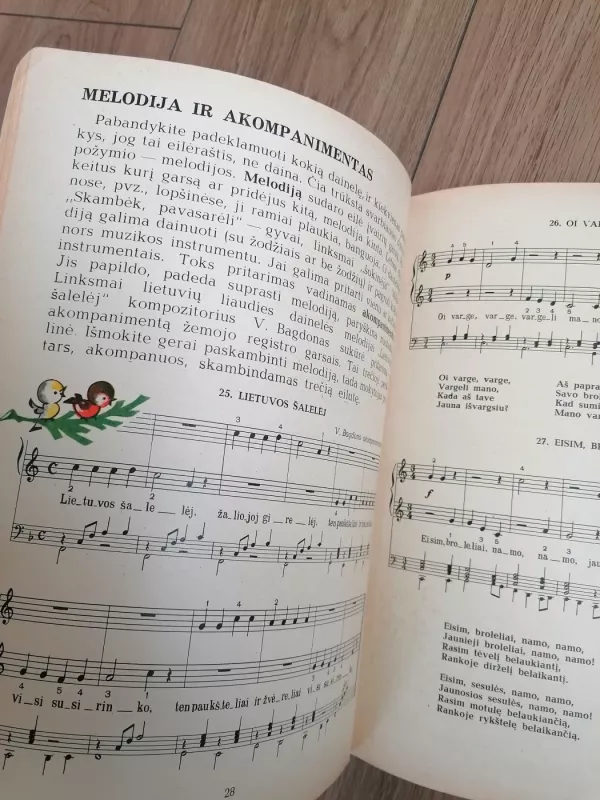 JAUNASIS PIANISTAS - Vida Krakauskaitė, knyga 5