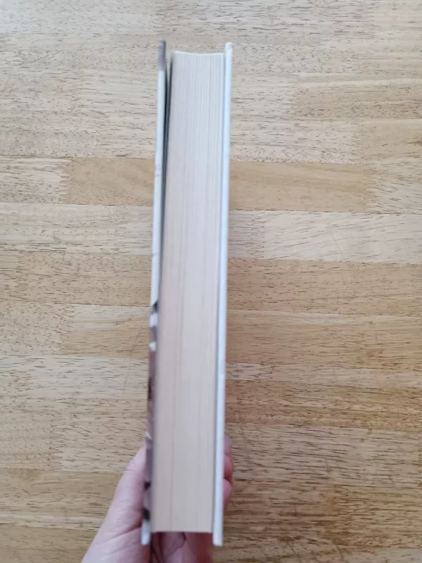 Padai pilni vinių - Aldona Ruseckaitė, knyga 5