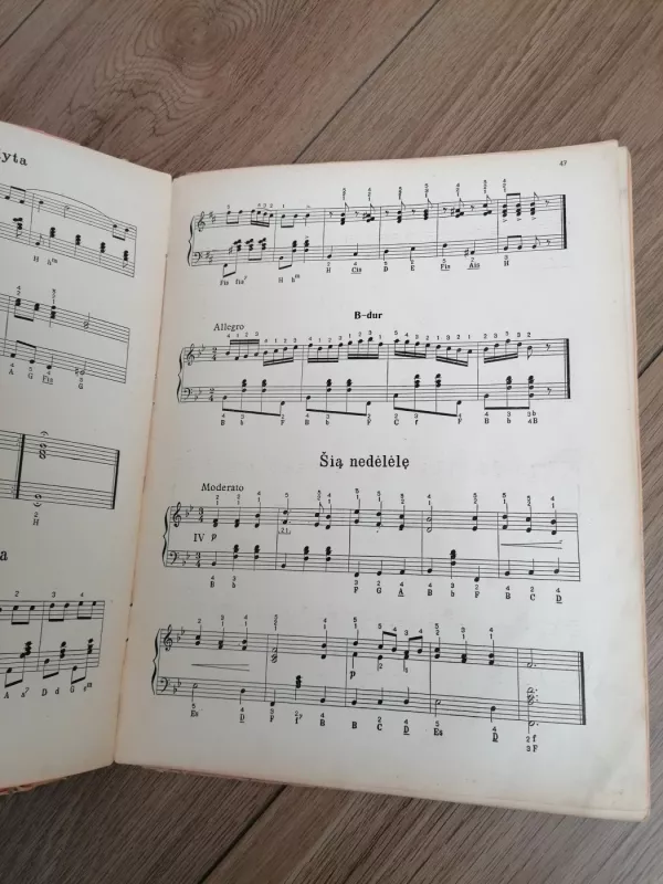 Jaunasis akordeonistas 1952 m. - Povilas Četkauskas, knyga 4