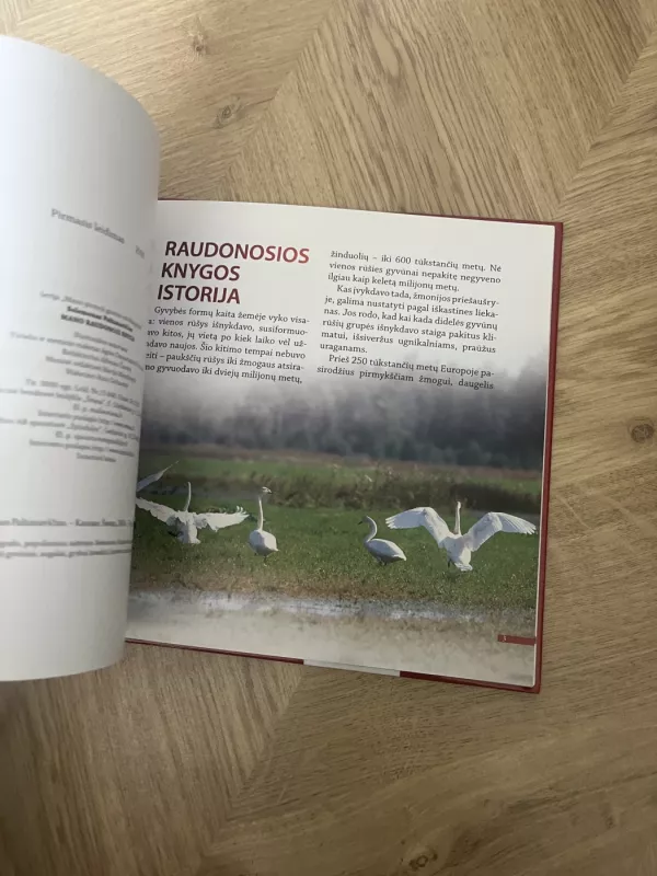 Mano raudonoji knyga - Selemonas Paltanavičius, knyga 4