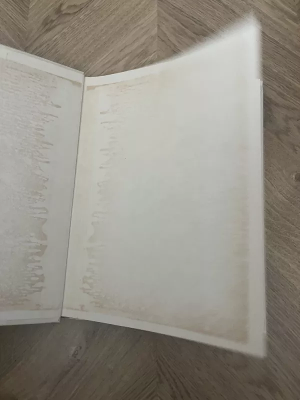 Ipolitas Užkurnys - M. Martinaitis, Z.  Žemaitytė, knyga 4