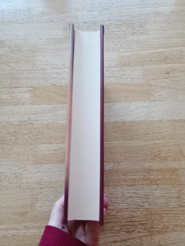 Trapumas - Jodi Picoult, knyga 4