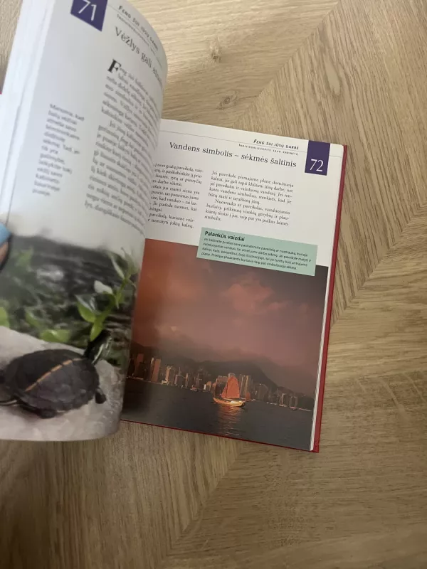 Feng Shui. Gyvenimas pagal kinų išmintį - Lillian Too, knyga 4