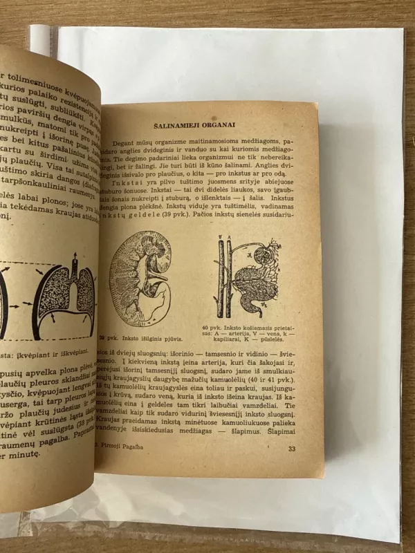 Pirmoji pagalba - L. Kesgaila, knyga 4