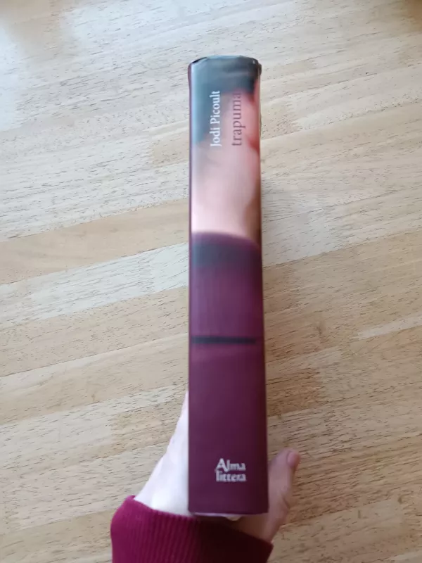 Trapumas - Jodi Picoult, knyga 3