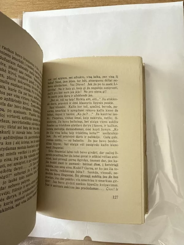 Nusikaltimas ir Bausmė I tomas - F.M.Dostojevskis, knyga 5