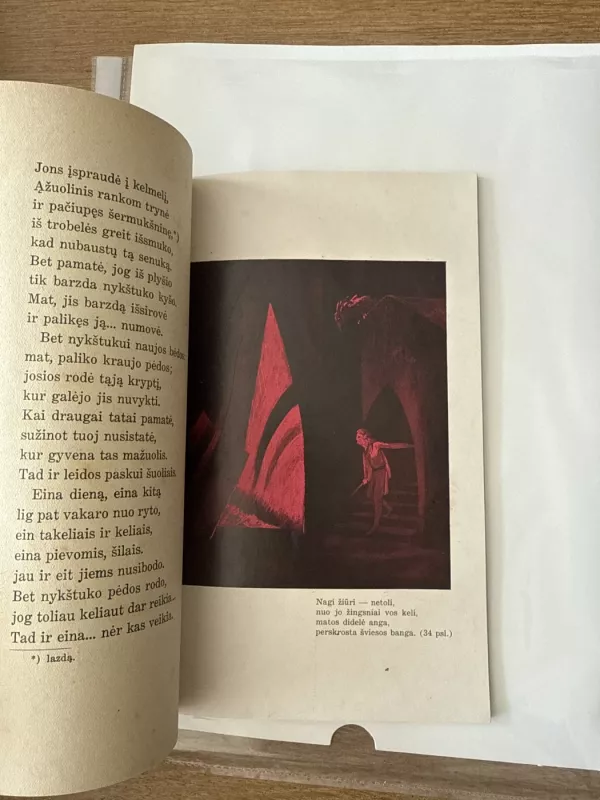 Karalaitis Jonas kvailutis ir paukštelis auksasparnis - A. Busilas, knyga 5