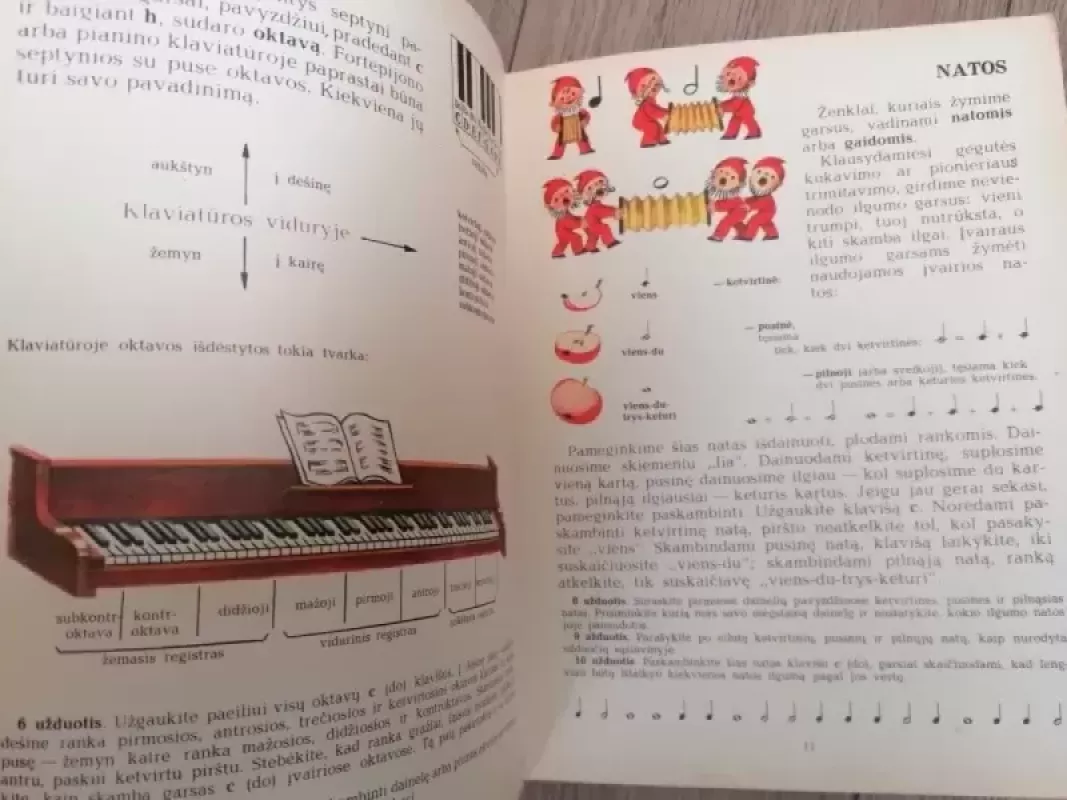 JAUNASIS PIANISTAS - Vida Krakauskaitė, knyga 6