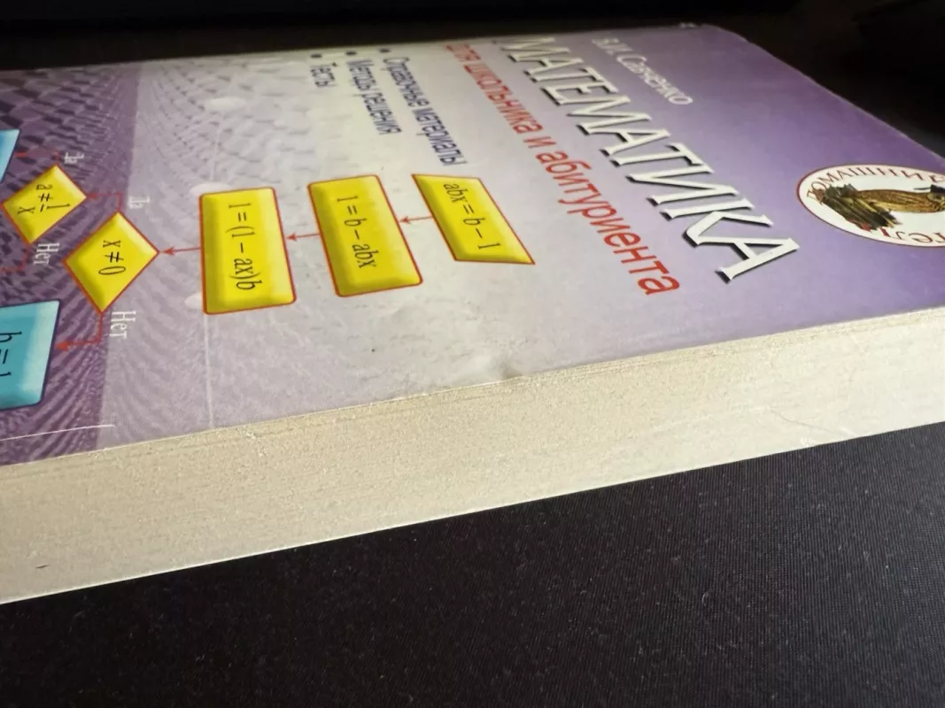 Matematika mokiniui ir abiturientui informacinė medžiaga, sprendimo metodai, testai - V. I. Savčenka, knyga 4