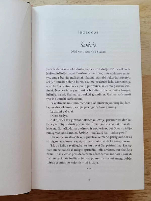 Trapumas - Jodi Picoult, knyga 6