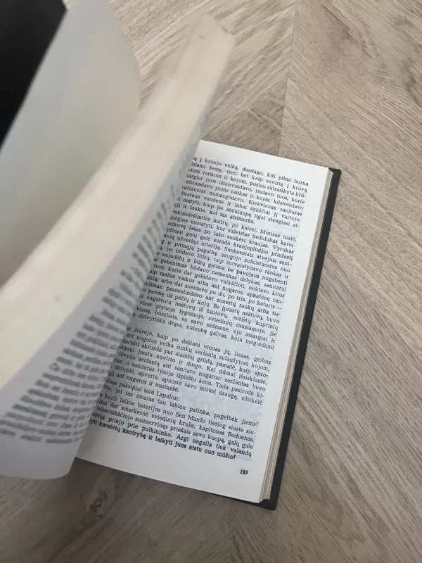 Žlugimas - Emilis Zola, knyga 3