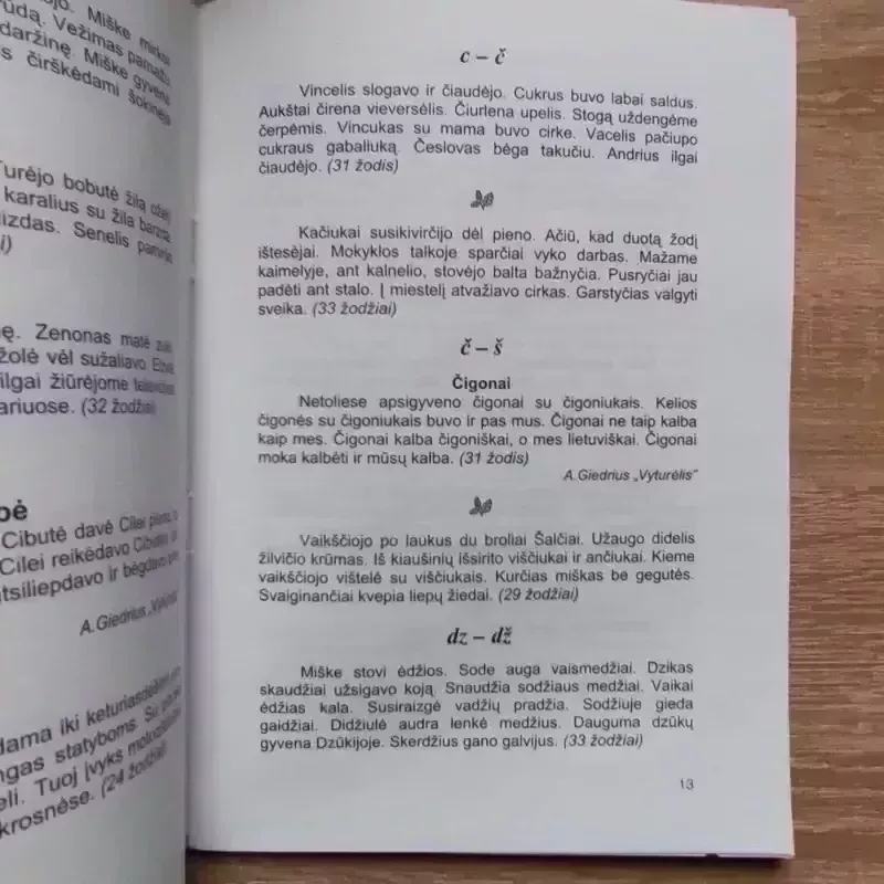 Diktantai 2-4 kl. - Nijolė Budrytė, knyga 5