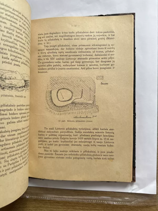 Gimtoji senovė (ieškojimas, pažinimas ir apsaugojimas). - P. Tarasenkos, knyga 4