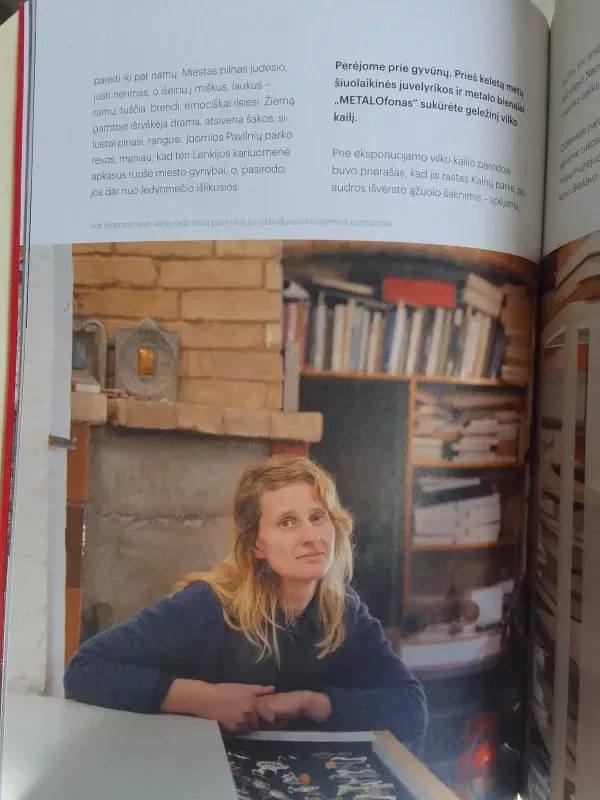 Neakivaizdinis Vilnius 2023 Žiema Nr. 20 - Autorių Kolektyvas, knyga 6