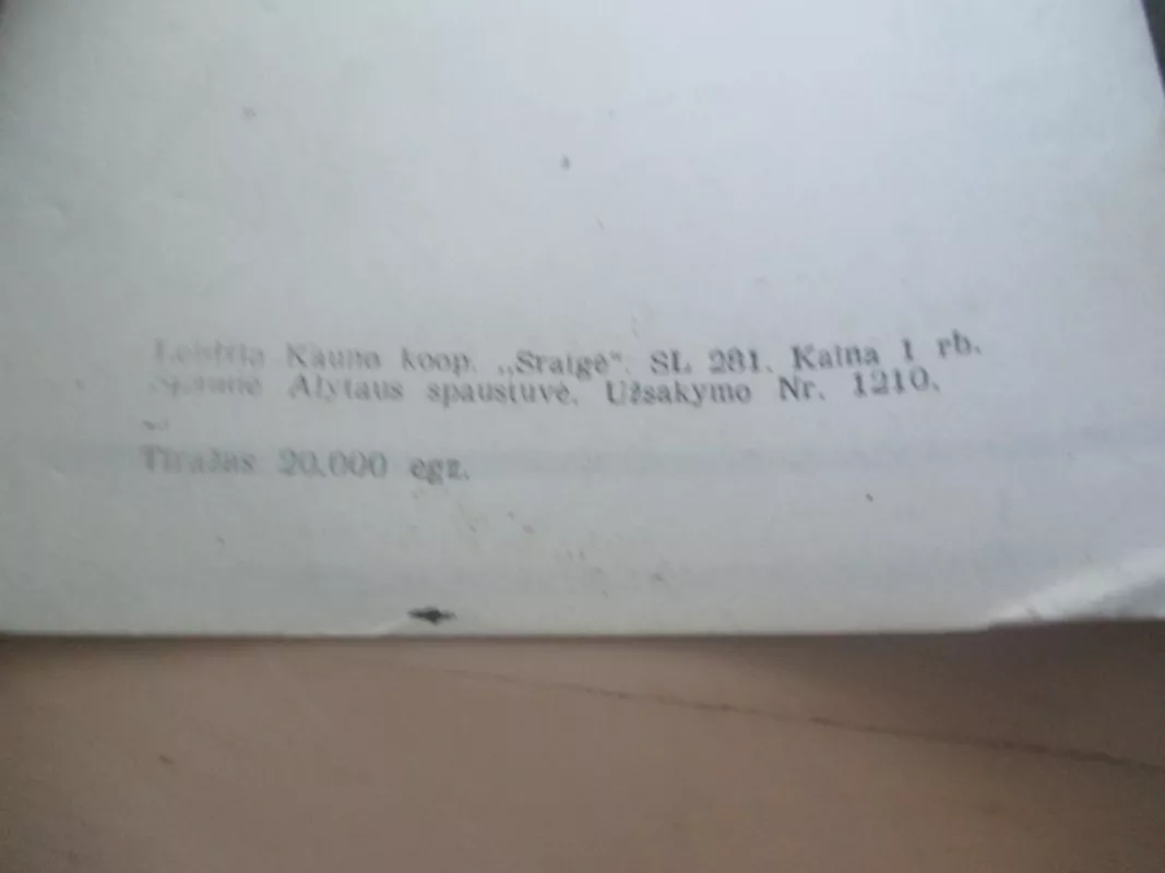 Šiaulių miesto gatvės - Autorių Kolektyvas, knyga 4