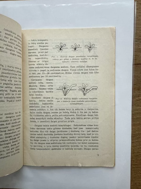 Vaismedžių auginimas - J. Strazdas, knyga 4