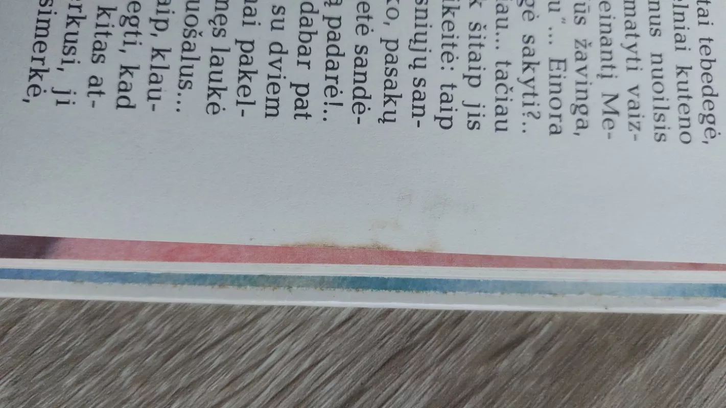 Kelionė į Tandadriką - Vytautė Žilinskaitė, knyga 4