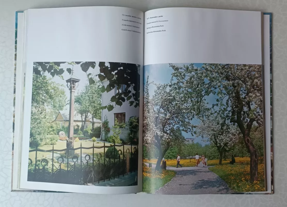 Panevėžys - Lionginas Skrebė, knyga 5