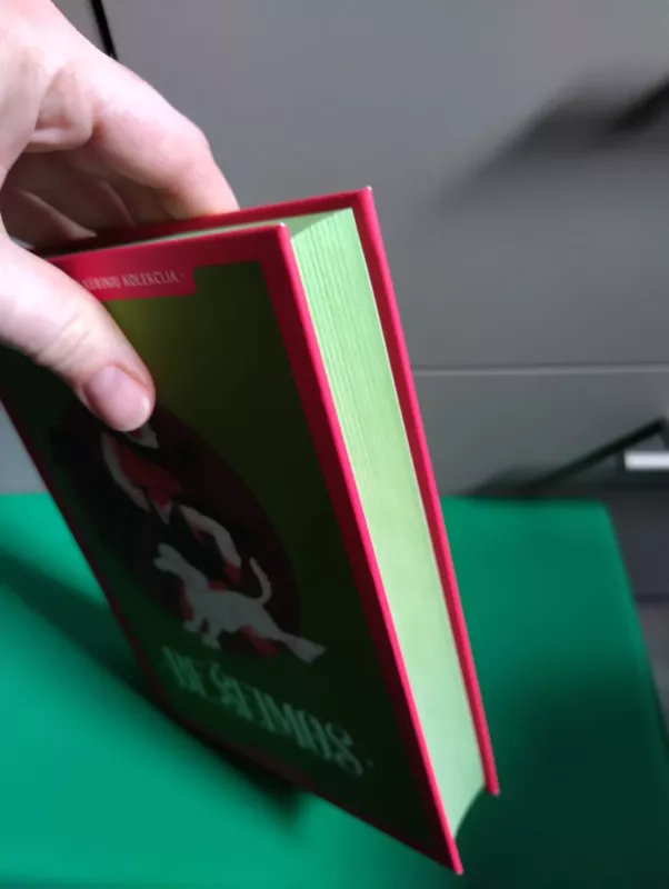 Be šeimos - Hector Malot, knyga 5