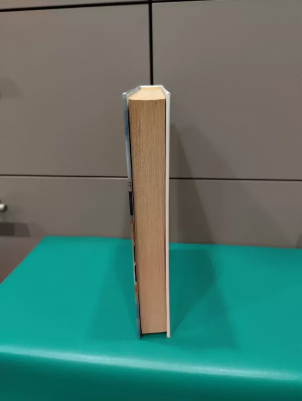 Deividas Koperfyldas - Dikensas Čarlzas, knyga 5