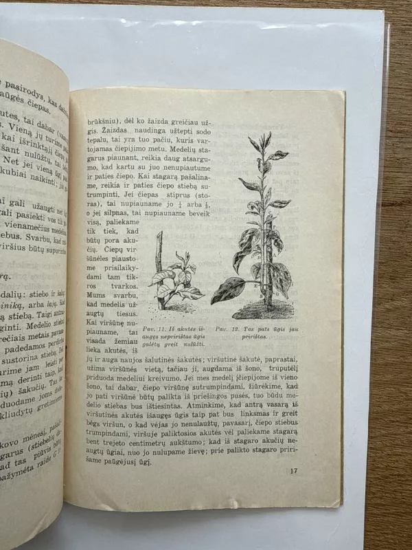 Vaismedžių auginimas - J. Strazdas, knyga 5