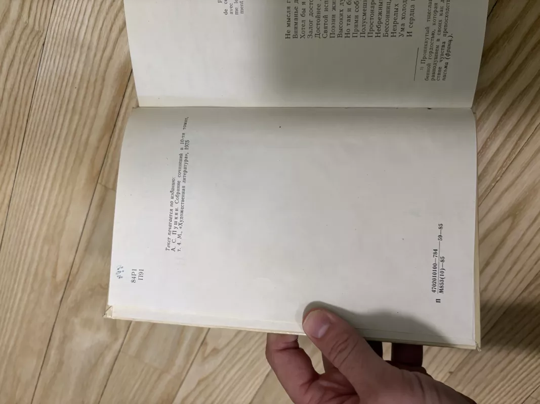 Evgenij Onegin - A.S. Puškin, knyga 4