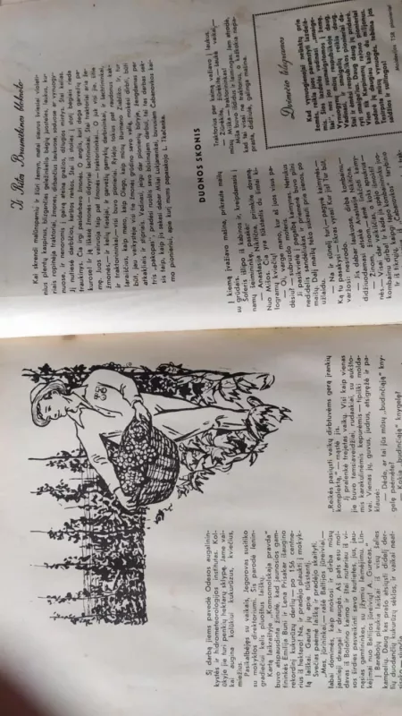 Mūsų 17 000 000 - Autorių kolektyvas (įvairūs), knyga 4