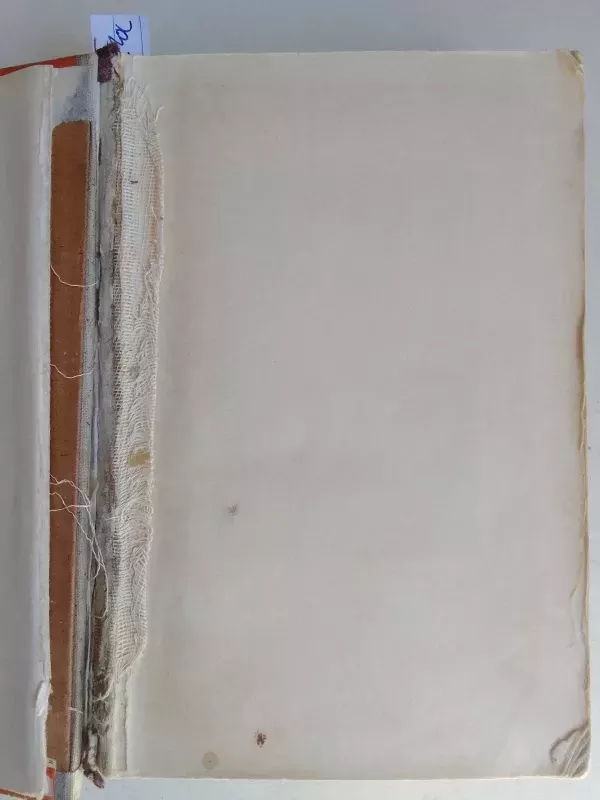 Keršto ugnys - Stasys Vaupšas, knyga 3